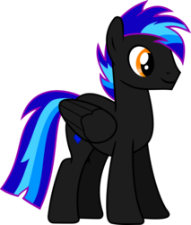 Size: 6000x7045 | Tagged: safe, artist:uxyd, oc, oc only, pegasus, pony, absurd resolution, simple background, solo, transparent background, vector
