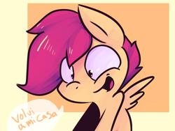 Size: 1024x768 | Tagged: safe, scootaloo, g4, female, solo, spanish