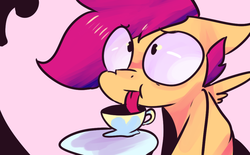 Size: 1024x636 | Tagged: safe, scootaloo, pegasus, pony, g4, cup, female, mlem, silly, solo, teacup, tongue out