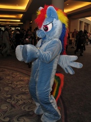 Size: 487x650 | Tagged: safe, rainbow dash, human, g4, cosplay, fursuit, irl, irl human, photo