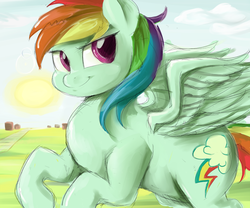 Size: 1000x833 | Tagged: dead source, safe, artist:sirmasterdufel, rainbow dash, g4, chubby, female, solo