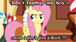 Size: 631x349 | Tagged: safe, screencap, fluttershy, g4, angry, female, image macro, meme, solo
