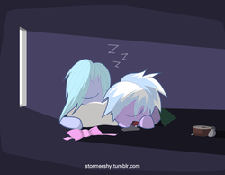 Size: 1800x1400 | Tagged: safe, artist:aurura, cloudchaser, flitter, pegasus, pony, g4, bow, dark, female, mare, pixiv, sleeping, window