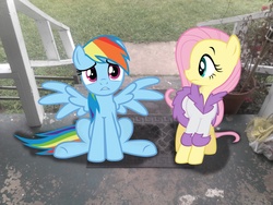 Size: 2048x1536 | Tagged: safe, artist:tokkazutara1164, fluttershy, rainbow dash, g4, clothes, irl, mat, photo, plant, ponies in real life, robe, steps, vector