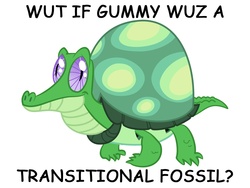 Size: 1280x960 | Tagged: safe, artist:litronom, gummy, tank, tortoise, g4, comic sans, evolution, exploitable meme, meme, science doesn't work that way, wut if gummy wuz a meme