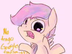 Size: 1024x768 | Tagged: safe, scootaloo, g4, female, solo, spanish