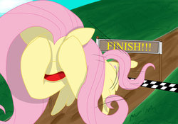 Size: 1069x748 | Tagged: safe, artist:jyukaianiki, fluttershy, g4, covering, female, flying, race, solo, vertigo