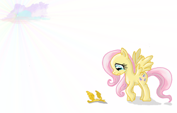 Size: 2744x1756 | Tagged: safe, artist:nyx-aeterna, fluttershy, g4, crown, crying, female, solo