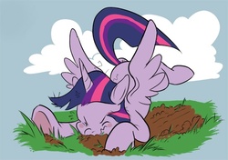 Size: 550x388 | Tagged: safe, artist:violetvampirevixen, twilight sparkle, alicorn, pony, g4, crash, crashlight, faceplant, female, hilarious in hindsight, mare, solo, twilight sparkle (alicorn)