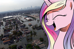 Size: 800x531 | Tagged: safe, princess cadance, g4, cadance laughs at your misery, exploitable meme, flood, irl, laughing, meme, new orleans