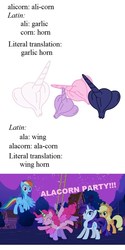 Size: 500x1000 | Tagged: safe, applejack, pinkie pie, rainbow dash, rarity, twilight sparkle, alicorn, pony, g4, alacorn, explanation, folk etymology, garlic, latin, twilight sparkle (alicorn)