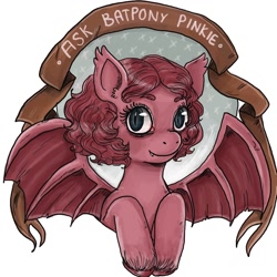 Size: 1280x1280 | Tagged: safe, artist:superlucky13, pinkie pie, bat pony, pony, ask bat pony pinkie, g4, ask, banner, bat ponified, female, pinkiebat, portrait, solo