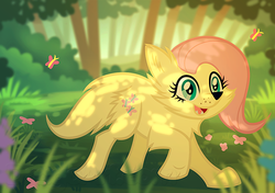 Size: 800x564 | Tagged: safe, artist:dragoart, fluttershy, dog, g4, dogified, female, solo, species swap