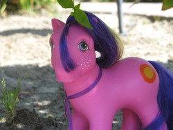 Size: 640x480 | Tagged: safe, fireball (g1), earth pony, pony, g1, freckles, irl, male, photo, solo, stallion, toy