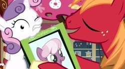 Size: 1210x664 | Tagged: safe, screencap, big macintosh, cheerilee, sweetie belle, earth pony, pony, g4, hearts and hooves day (episode), my little pony: friendship is magic, hearts and hooves day, male, picture, stallion, zen bullying