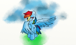 Size: 1440x860 | Tagged: safe, artist:harmonicsoul, rainbow dash, g4, female, solo