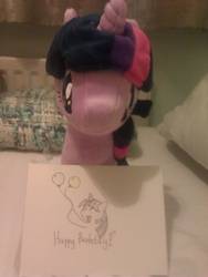 Size: 1952x2592 | Tagged: safe, twilight sparkle, g4, 4de, birthday, irl, photo, plushie