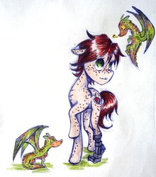 Size: 839x952 | Tagged: safe, artist:evaistryingagain, hiccup horrendous the third, how to train your dragon, ponified