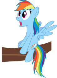 Size: 3110x4270 | Tagged: safe, artist:baumkuchenpony, rainbow dash, g4, may the best pet win, female, simple background, solo, transparent background, tree branch, vector
