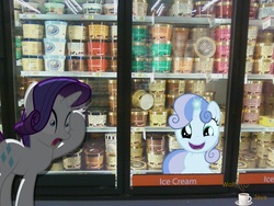 Size: 1514x1136 | Tagged: safe, artist:wolfjava, rarity, sweetie belle, g4, blue bell ice cream, ice cream, irl, magic, photo, ponies in real life, shocked, store, vector, walmart