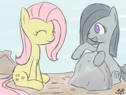 Size: 1200x900 | Tagged: safe, artist:speccysy, fluttershy, marble pie, g4, duo, rock