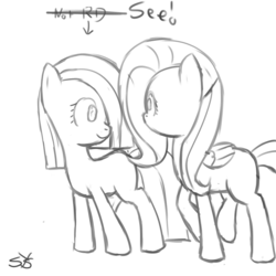Size: 900x900 | Tagged: safe, artist:speccysy, fluttershy, marble pie, earth pony, pegasus, pony, g4, duo, female, looking at each other, mare, monochrome, simple background, white background