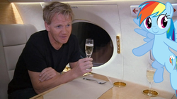 Size: 600x338 | Tagged: safe, rainbow dash, g4, alcohol, champagne, gordon ramsay, irl, photo, ponies in real life, wine