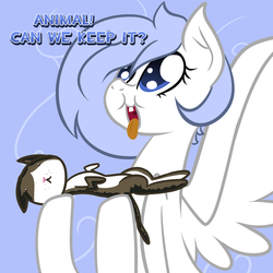 Size: 1280x1280 | Tagged: safe, artist:penguinpotential, oc, oc only, cat, pegasus, pony, ask frigid drift, tongue out