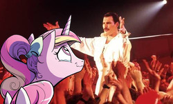 Size: 1028x622 | Tagged: safe, idw, princess cadance, g4, crying, fangirl, freddie mercury, liquid pride, queen (band), stupid sexy freddie mercury