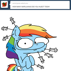 Size: 806x814 | Tagged: safe, rainbow dash, rainbowdashsmailbag, g4, ask, female, solo, tumblr