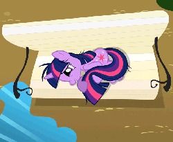 Size: 657x540 | Tagged: safe, screencap, twilight sparkle, lesson zero, adorkable, animated, bench, breakdown, cropped, cute, dork, female, insanity, on side, overhead view, puddle, smiling, solo, talking, twilight snapple, twilighting, worried
