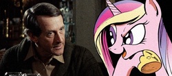 Size: 477x212 | Tagged: safe, princess cadance, g4, idw, andre gregory, deeply intrigued cadance, meme, my dinner with andre