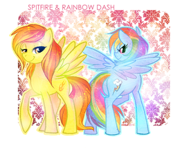 Size: 800x680 | Tagged: safe, artist:kiwie, rainbow dash, spitfire, g4