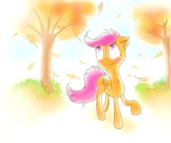 Size: 1644x1377 | Tagged: safe, artist:mugg1991, scootaloo, g4, autumn, backlighting, female, filly, foal, looking back, smiling, solo, tree