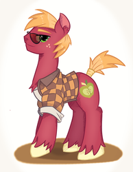 Size: 837x1080 | Tagged: safe, artist:imspainter, big macintosh, earth pony, pony, g4, clothes, glasses, hipster, male, shirt, solo, stallion, sunglasses, tail wrap