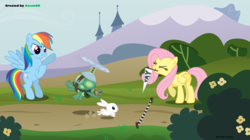 Size: 5349x3002 | Tagged: safe, artist:axemgr, angel bunny, fluttershy, rainbow dash, tank, pegasus, pony, rabbit, tortoise, g4, animal, female, mare, parody, pet, race, the tortoise and the hare