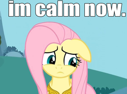 Size: 972x718 | Tagged: safe, fluttershy, g4, calm down, female, image macro, solo