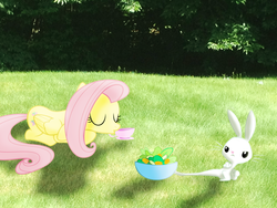 Size: 1024x768 | Tagged: safe, artist:nikorurene, angel bunny, fluttershy, g4, bowl, irl, outdoors, photo, ponies in real life, salad, shadow, teacup, vector