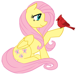 Size: 1000x962 | Tagged: safe, artist:bux, fluttershy, bird, g4, female, solo