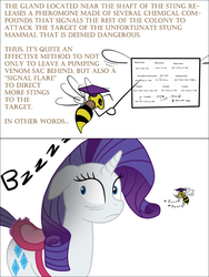 Size: 900x1200 | Tagged: safe, artist:bsting, rarity, bee, g4, bee fetish