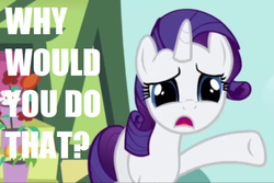 Size: 500x333 | Tagged: safe, rarity, g4, derp, dilated pupils, female, image macro, reaction image, solo, text