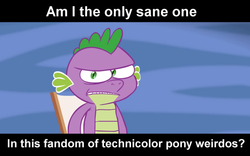 Size: 700x438 | Tagged: safe, artist:hotdiggedydemon, spike, dragon, .mov, party.mov, g4, bronybait, image macro, male, pony.mov, sane, sanity, solo, talking to viewer, text, that's spike