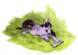 Size: 843x594 | Tagged: safe, artist:mothtail, twilight sparkle, rabbit, g4, book, female, hoers, solo