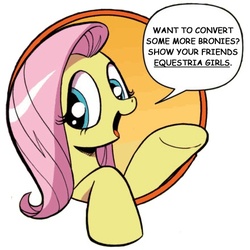 Size: 440x440 | Tagged: safe, idw, fluttershy, friendship is magic #3, g4, my little pony: friendship is magic (idw), bad advice fluttershy, exploitable meme, female, meme, solo