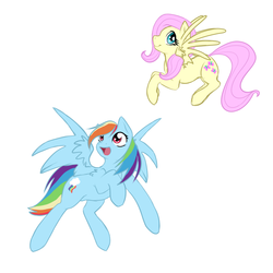 Size: 1000x1000 | Tagged: safe, artist:nessia, fluttershy, rainbow dash, g4