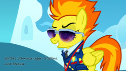 Size: 1024x576 | Tagged: safe, spitfire, pegasus, pony, g4, arnold schwarzenegger, awesome mccoolname, female, insane pony thread, show accurate, solo, sylvester stallone, wings
