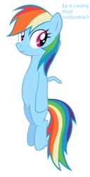 Size: 1129x2208 | Tagged: safe, rainbow dash, g4, female, plucked, simple background, solo, transparent background, vector