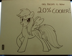 Size: 1000x770 | Tagged: safe, rainbow dash, g4, sketch, traditional art