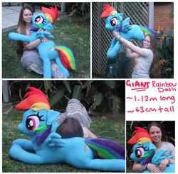 Size: 4724x4611 | Tagged: safe, artist:silkencat, rainbow dash, human, pegasus, pony, g4, absurd resolution, irl, irl human, multiple views, outdoors, photo, plushie, spread wings, text, wings