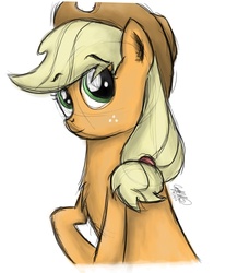 Size: 903x1092 | Tagged: safe, artist:spring breeze, applejack, g4, chest fluff, female, portrait, solo